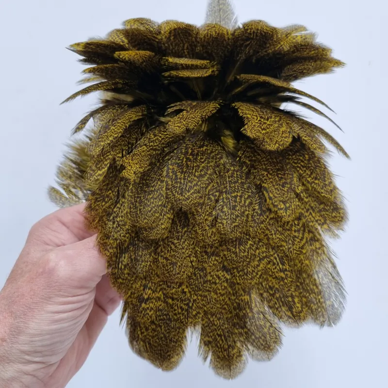 Whiting Coq de Leon Hen Saddle in Speckled Yellow-4